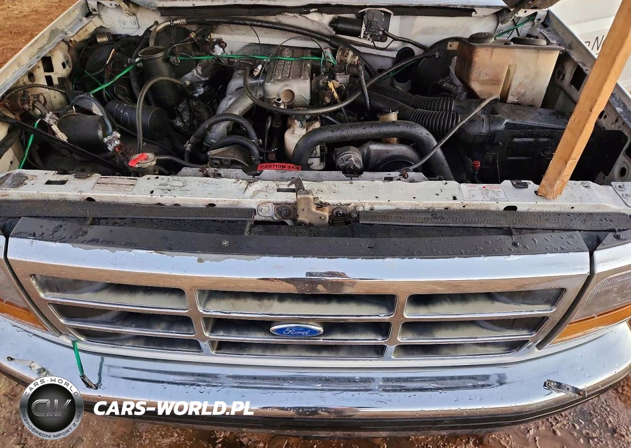 1993 Ford F150 VIN:1FTEX15Y1PKC03127 - 11