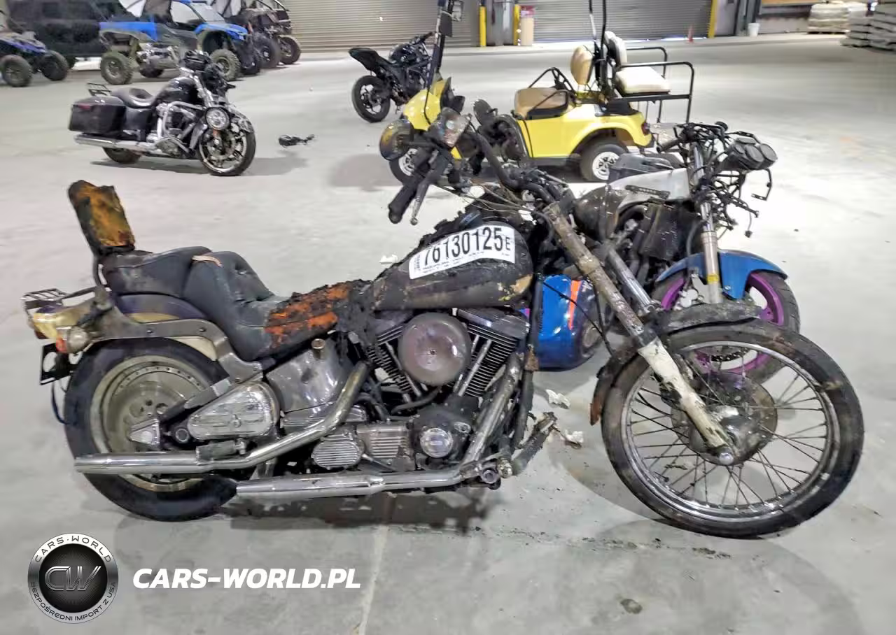 1995 Harley-Davidson Fxst Custom