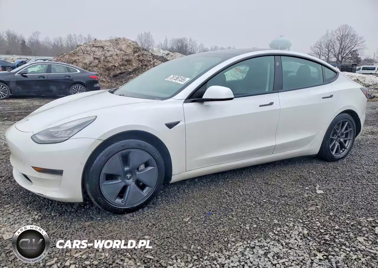 2021 Tesla Model 3