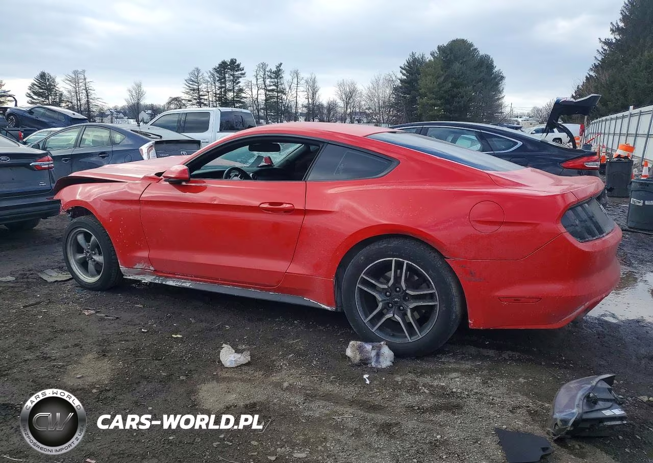 2017 Ford Mustang VIN:1FA6P8AM7H5346380 - 2