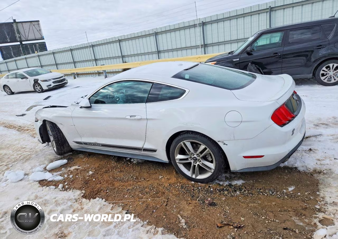 2018 Ford Mustang VIN:1FA6P8TH0J5161562 - 2