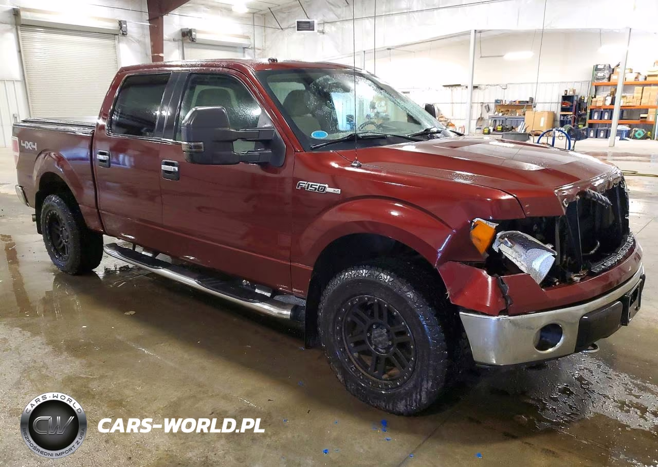 2009 Ford F150 Supercrew VIN:1FTPW14V09FB26930 - 4