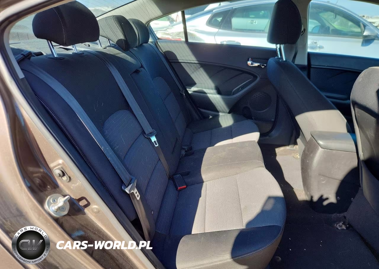 2014 Kia Forte Lx VIN:KNAFX4A64E5163919 - 10