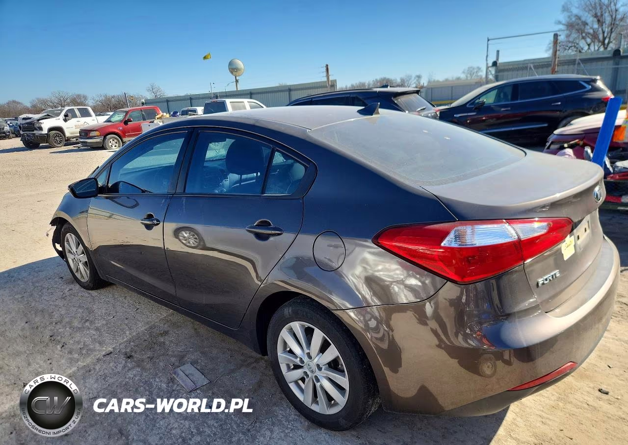 2014 Kia Forte Lx VIN:KNAFX4A64E5163919 - 2
