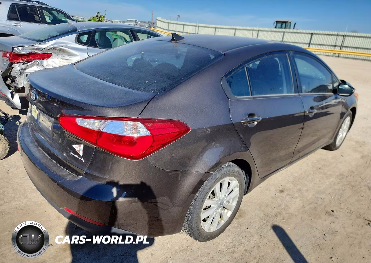 2014 Kia Forte Lx VIN:KNAFX4A64E5163919 - 3