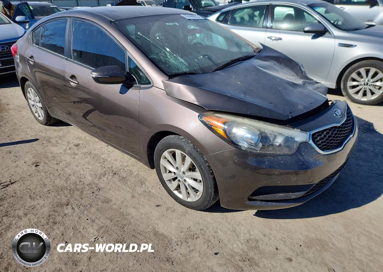 2014 Kia Forte Lx VIN:KNAFX4A64E5163919 - 4