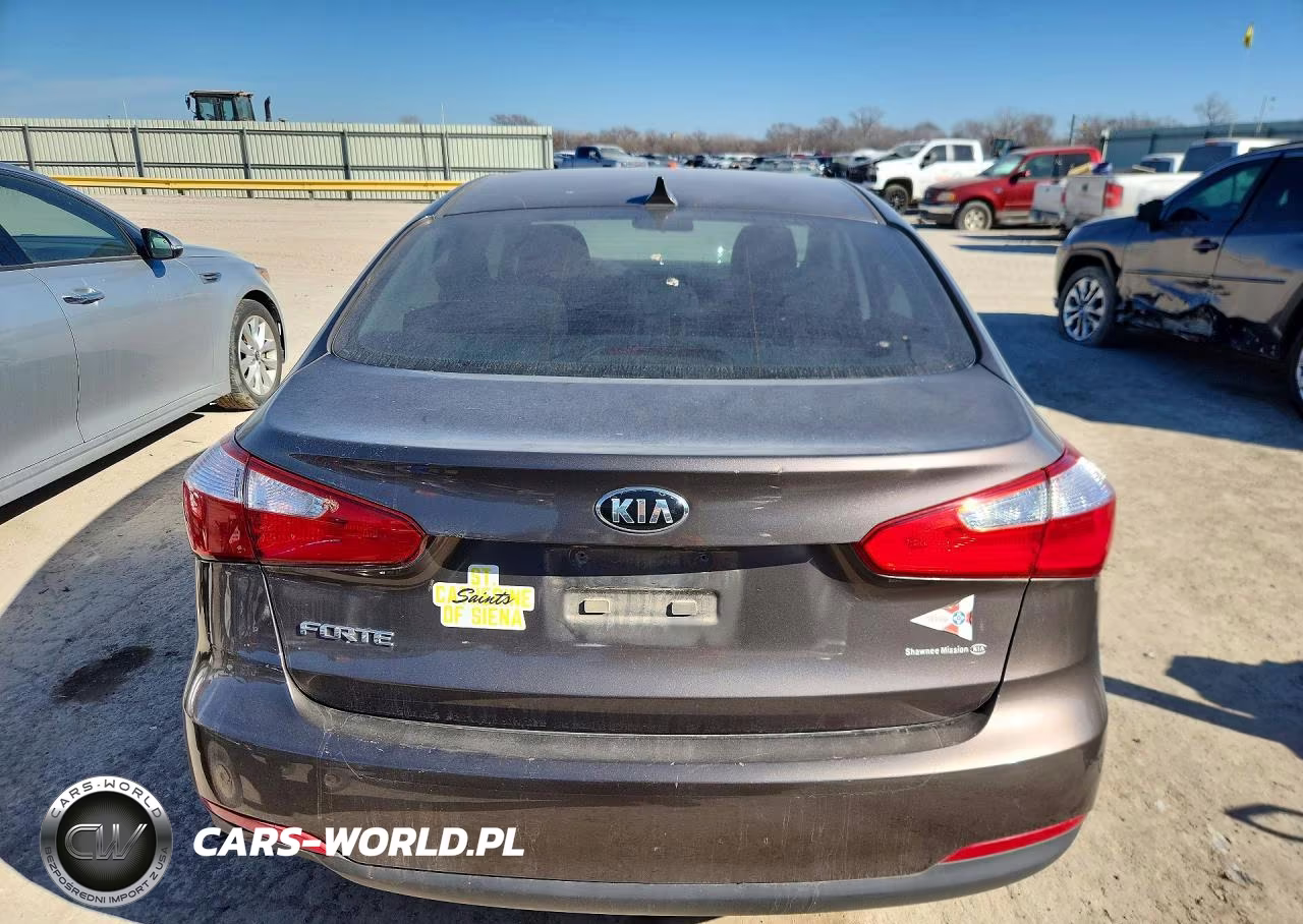 2014 Kia Forte Lx VIN:KNAFX4A64E5163919 - 6