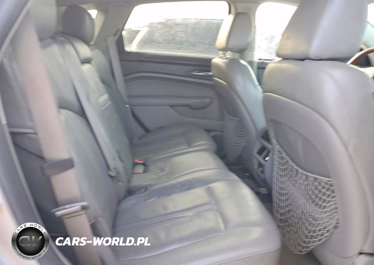 2010 Cadillac Srx Luxury Collection VIN:3GYFNAEY0AS584999 - 10