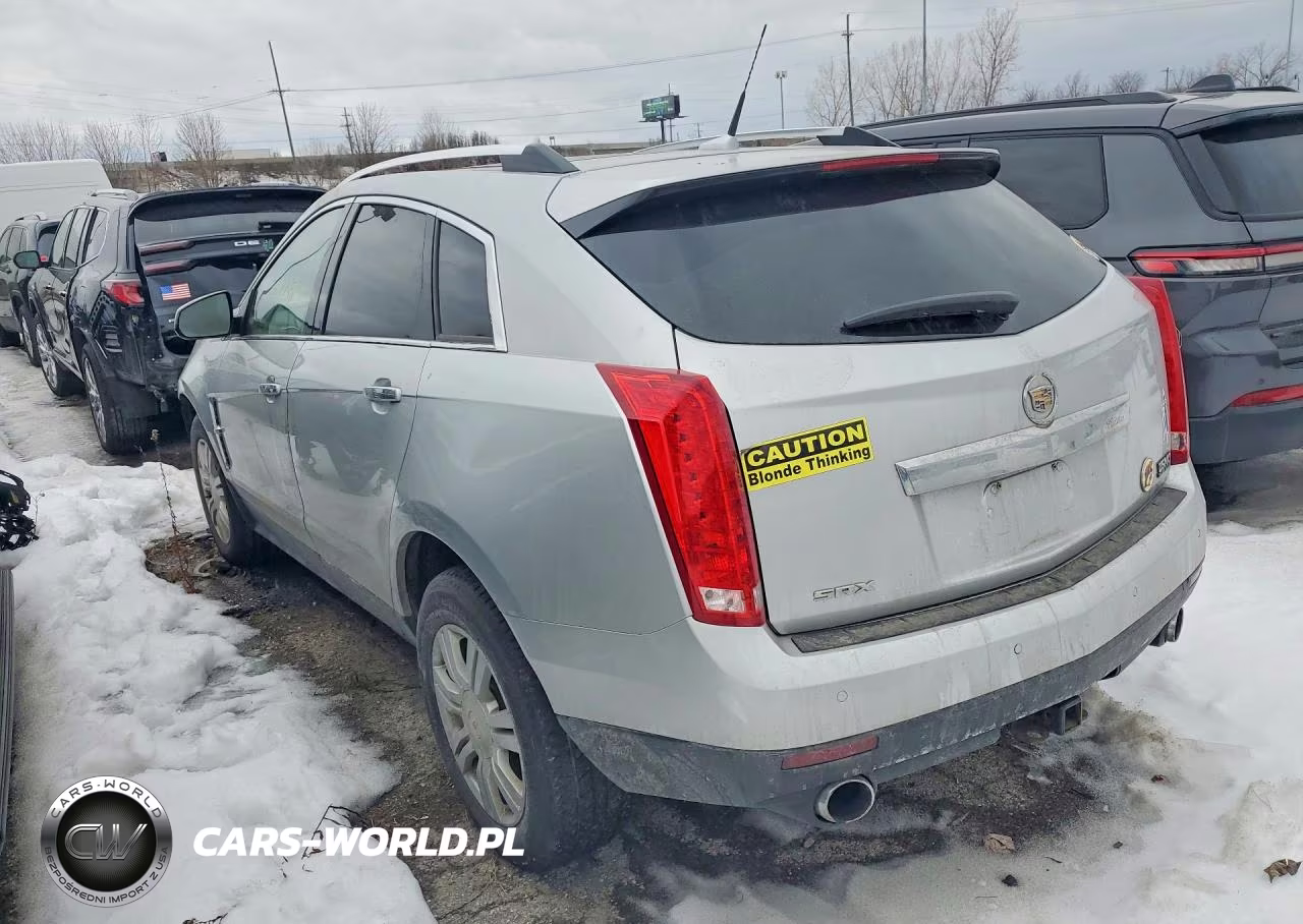 2010 Cadillac Srx Luxury Collection VIN:3GYFNAEY0AS584999 - 2