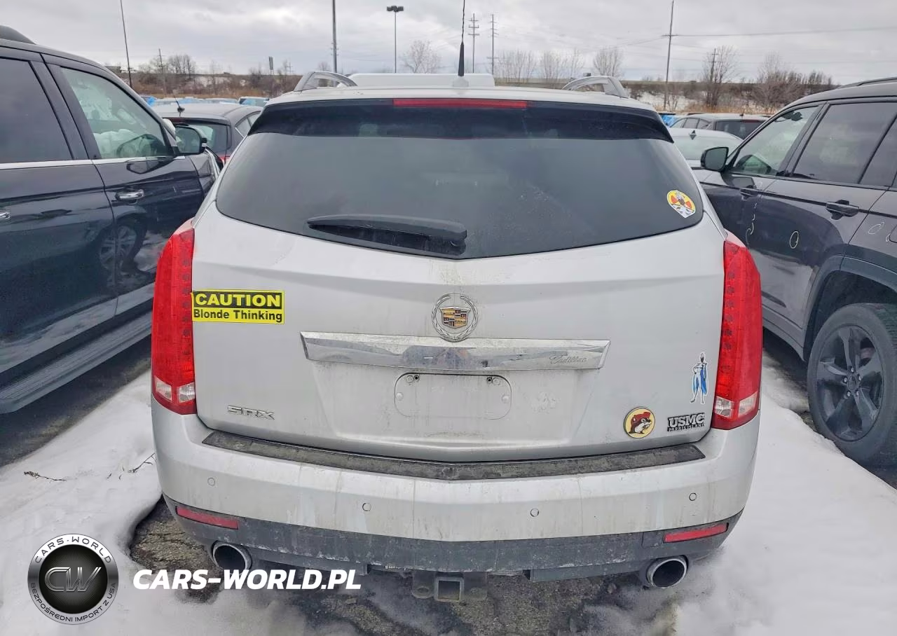 2010 Cadillac Srx Luxury Collection VIN:3GYFNAEY0AS584999 - 6