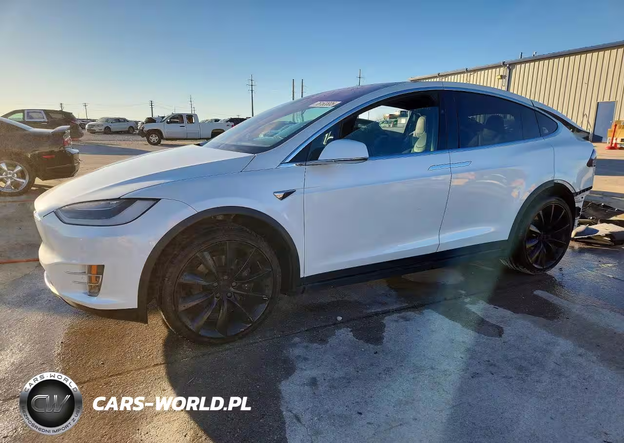 2019 Tesla Model X