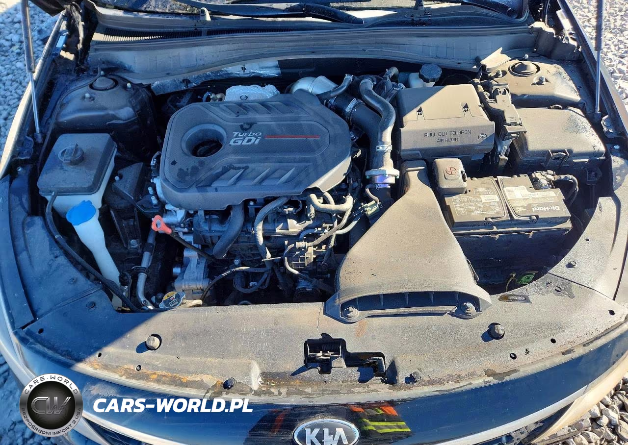 2019 Kia Optima Sxl VIN:5XXGV4L21KG315850 - 11