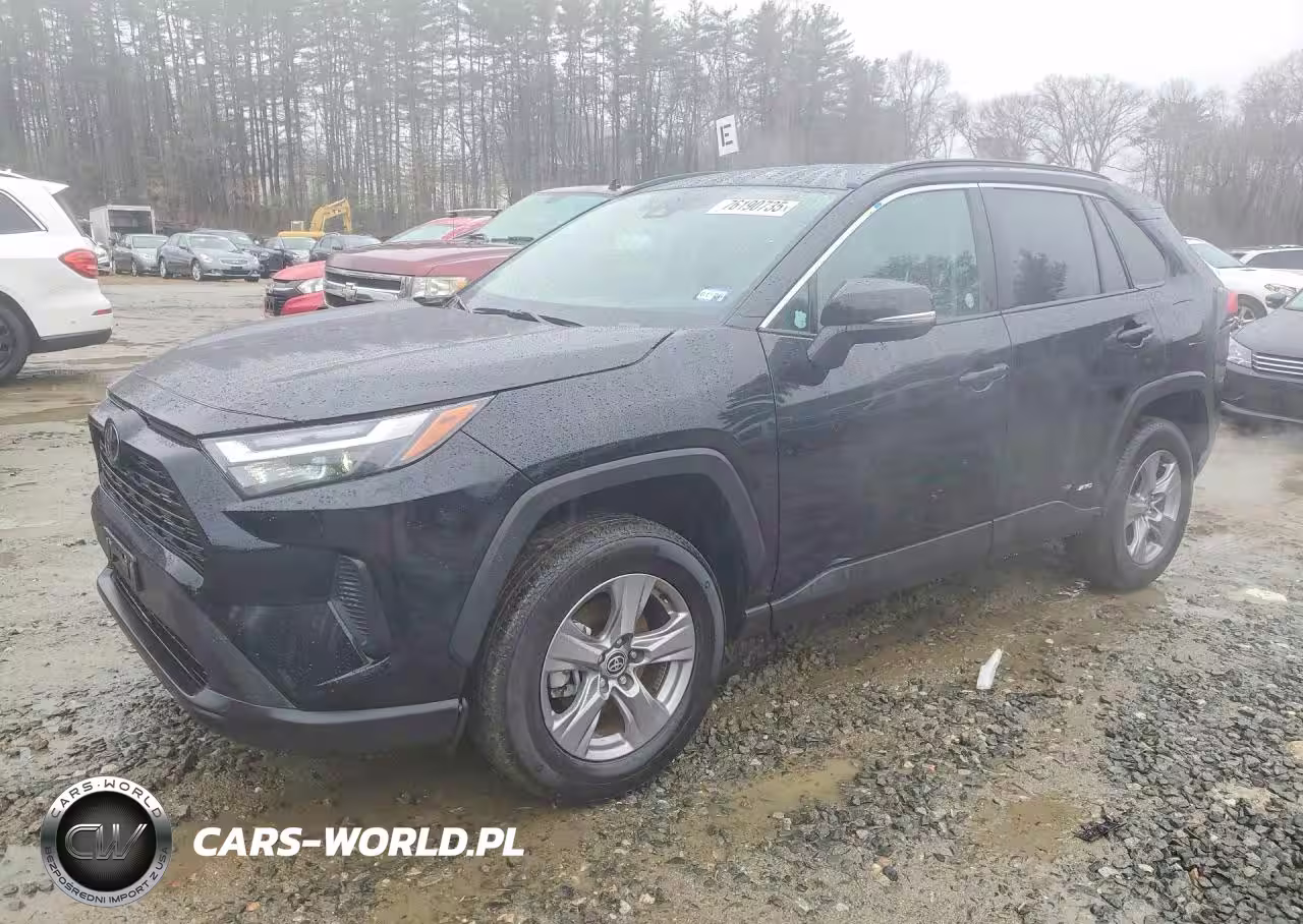 2025 Toyota Rav4 Xle