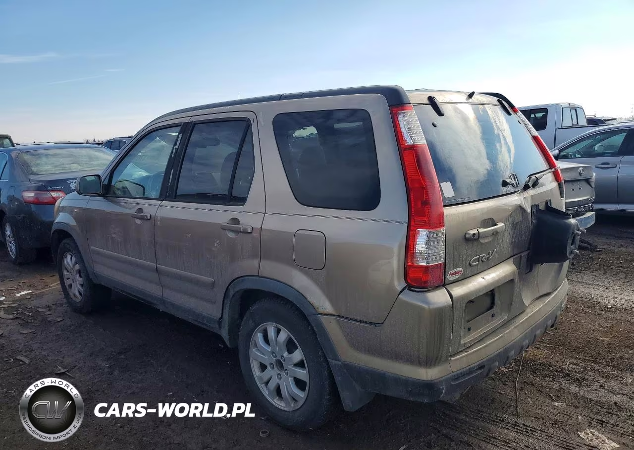 2006 Honda Cr-V Se VIN:JHLRD78966C004782 - 2