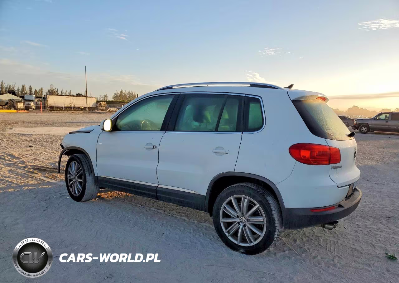 2015 Volkswagen Tiguan S VIN:WVGAV7AX3FW507857 - 2
