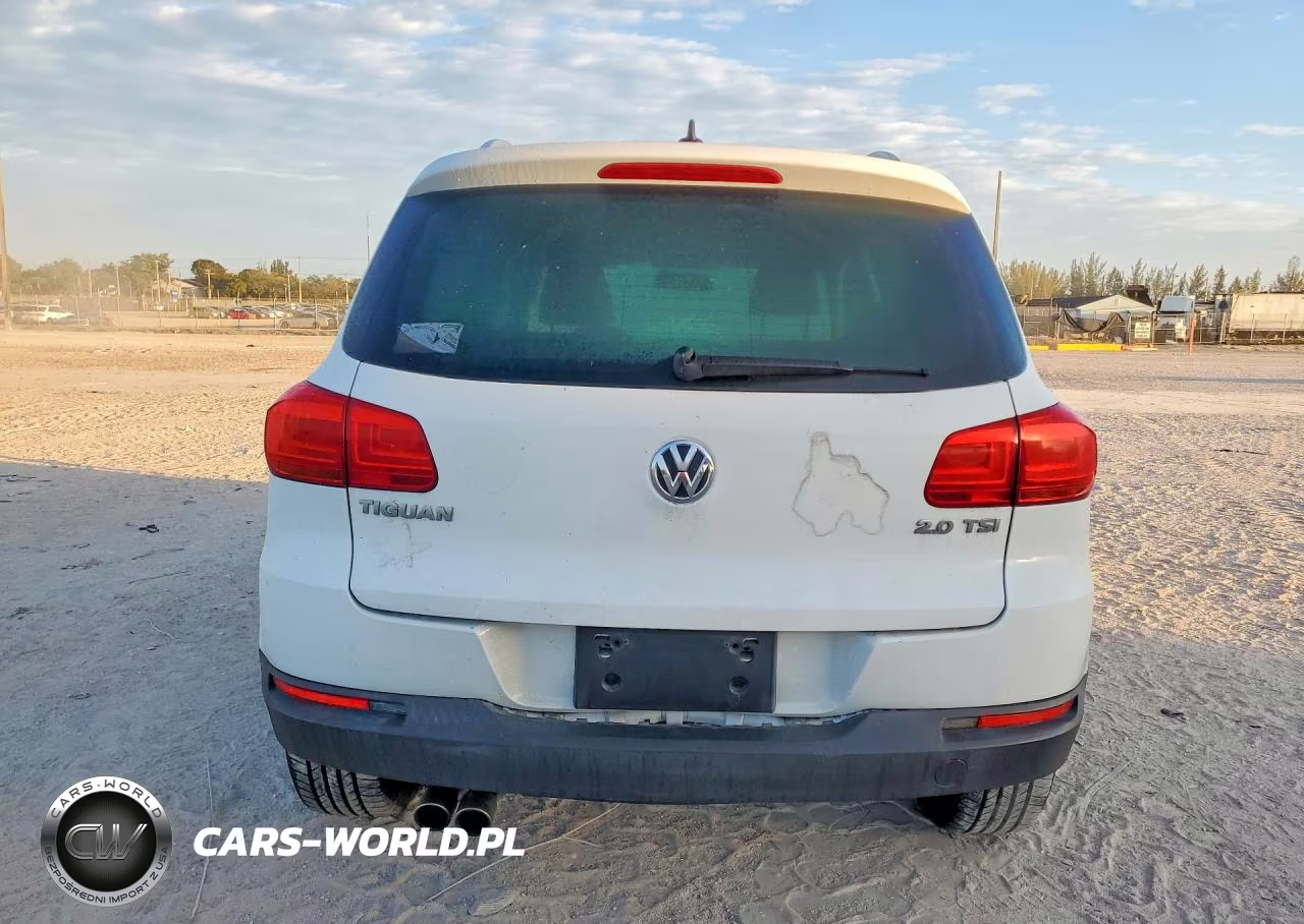 2015 Volkswagen Tiguan S VIN:WVGAV7AX3FW507857 - 6