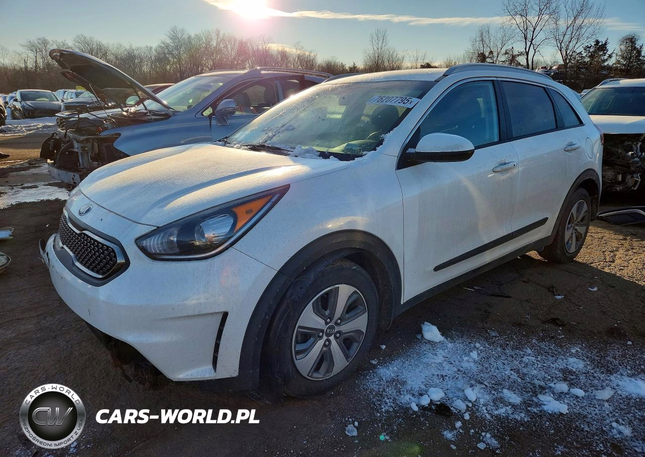 2019 Kia Niro Fe