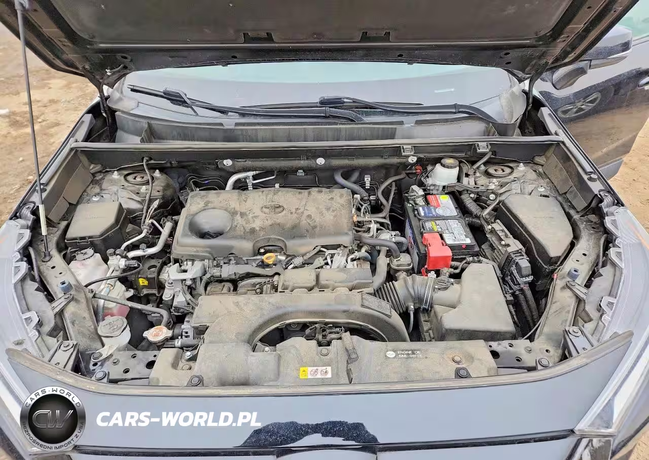 2020 Toyota Rav4 Xle VIN:2T3P1RFV8LW120034 - 12