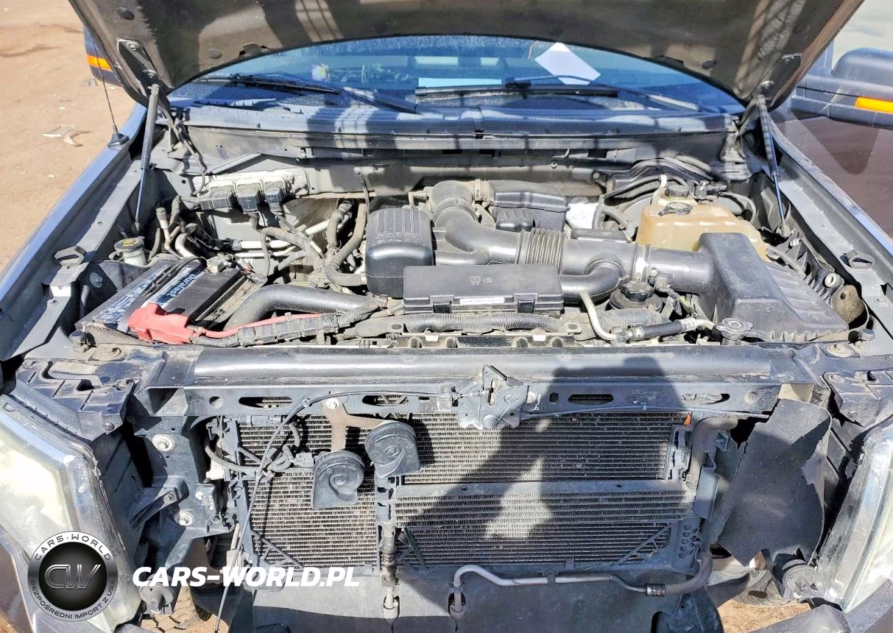 2010 Ford F150 Supercrew VIN:1FTFW1EV5AFC30277 - 11