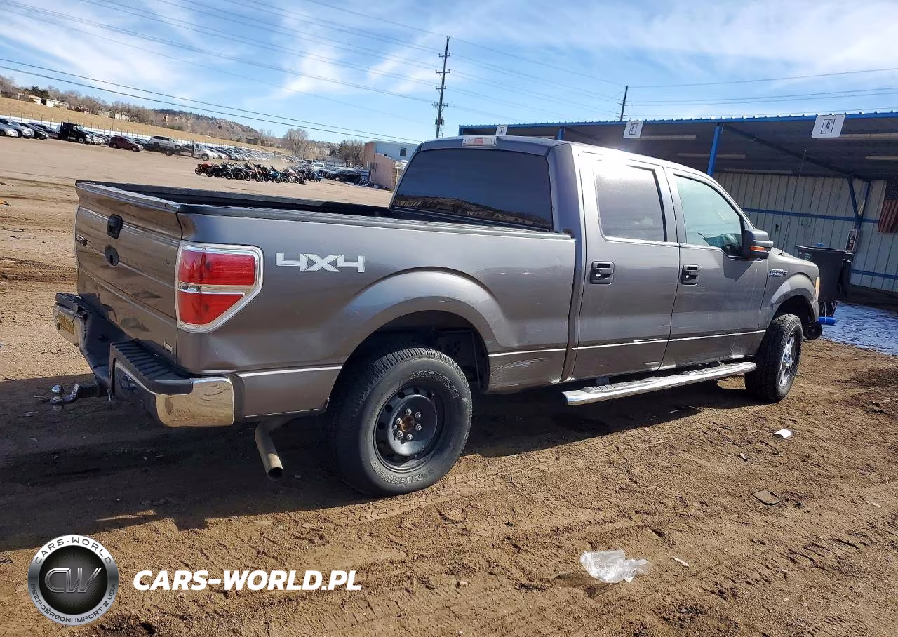 2010 Ford F150 Supercrew VIN:1FTFW1EV5AFC30277 - 3