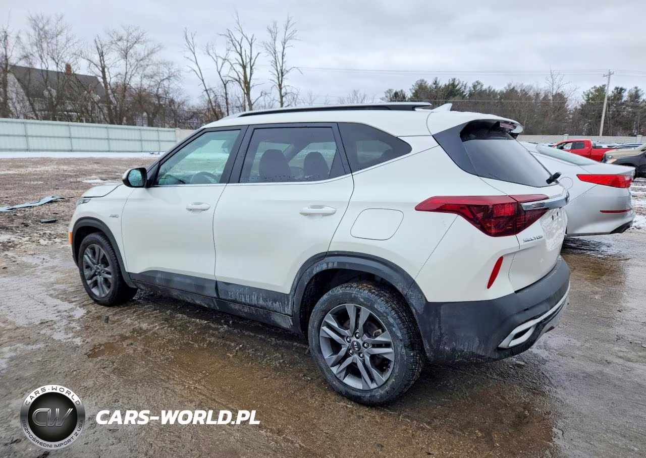 2021 Kia Seltos S VIN:KNDEUCAA1M7043536 - 2