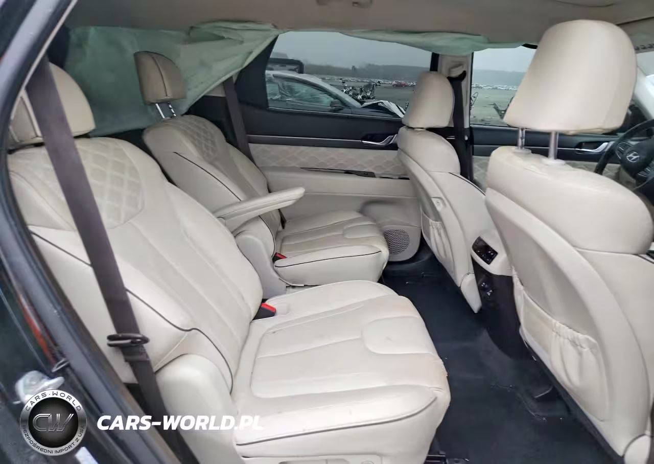 2020 Hyundai Palisade Limited VIN:KM8R54HE9LU074056 - 11