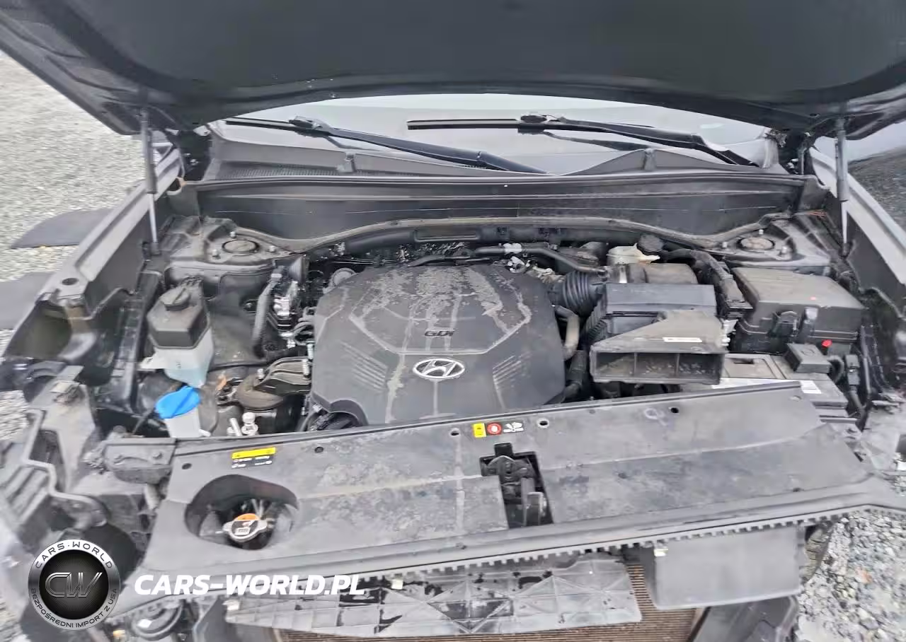 2020 Hyundai Palisade Limited VIN:KM8R54HE9LU074056 - 12