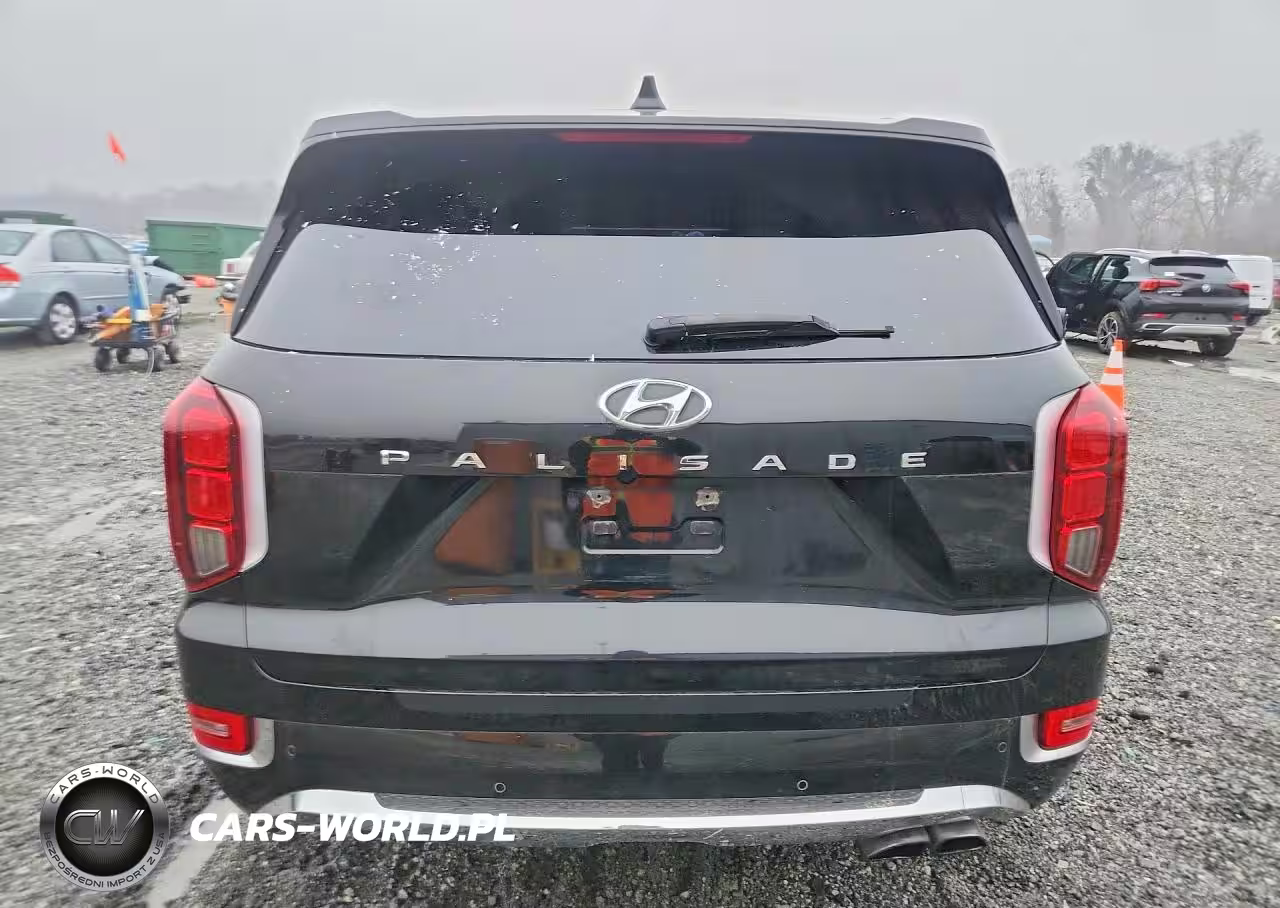 2020 Hyundai Palisade Limited VIN:KM8R54HE9LU074056 - 6