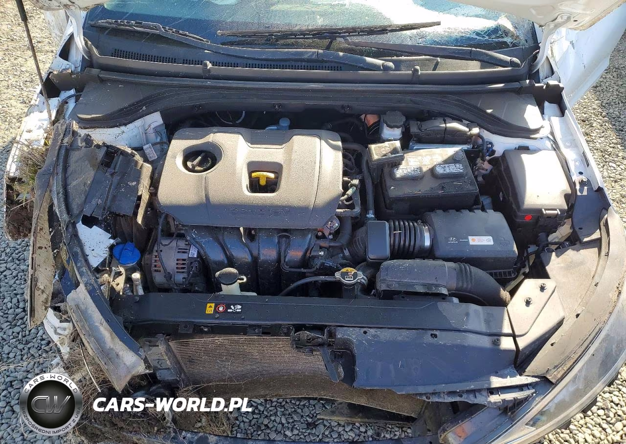 2019 Hyundai Elantra Sel VIN:5NPD84LF2KH442799 - 11