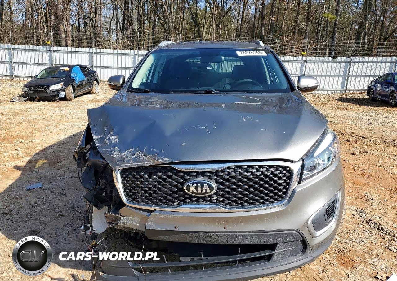 2016 Kia Sorento Lx VIN:5XYPGDA51GG177978 - 5
