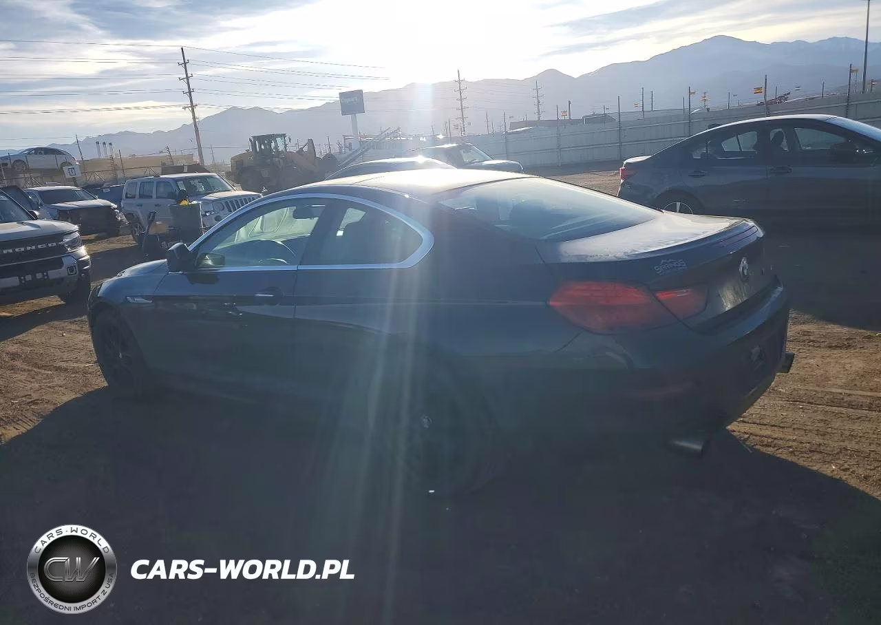 2013 BMW 650 Xi VIN:WBAYM1C5XDDZ02509 - 2