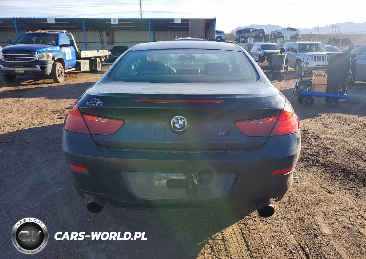 2013 BMW 650 Xi VIN:WBAYM1C5XDDZ02509 - 6