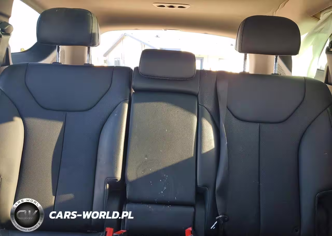 2023 Hyundai Santa Fe Sel Premium VIN:5NMS3DAJ0PH559850 - 10