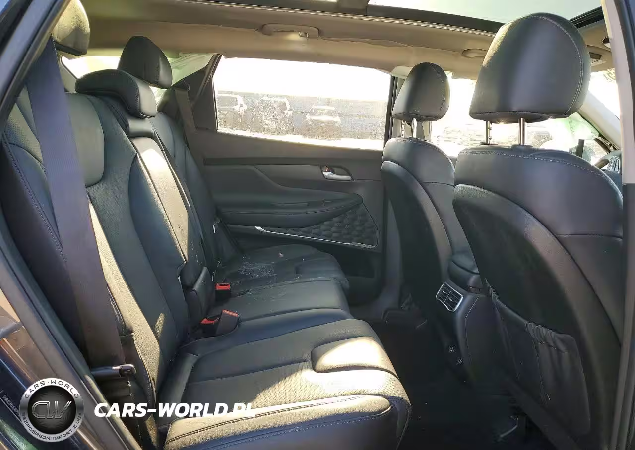 2023 Hyundai Santa Fe Sel Premium VIN:5NMS3DAJ0PH559850 - 11