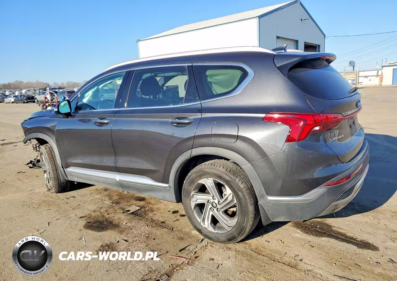 2023 Hyundai Santa Fe Sel Premium VIN:5NMS3DAJ0PH559850 - 2