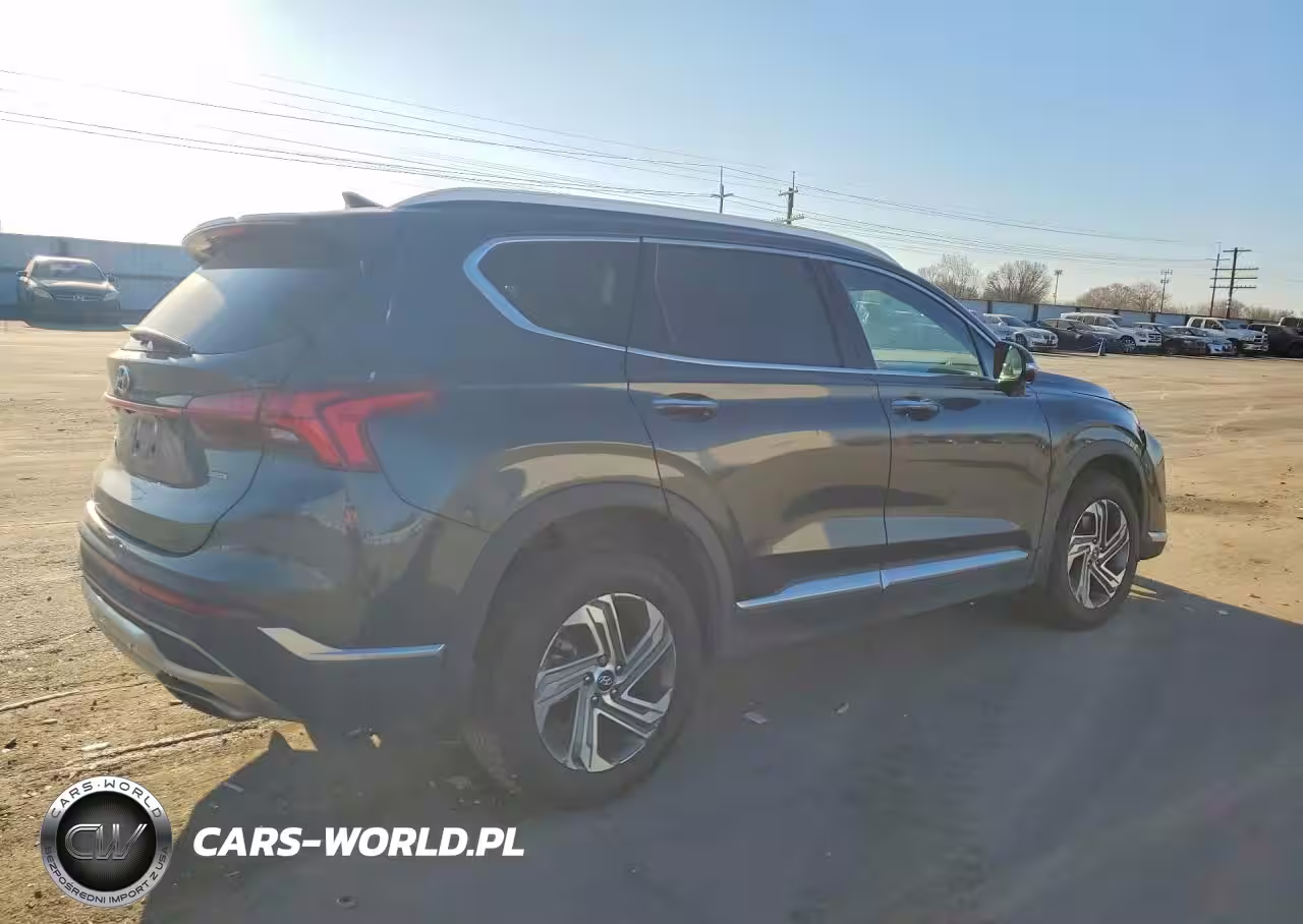 2023 Hyundai Santa Fe Sel Premium VIN:5NMS3DAJ0PH559850 - 3