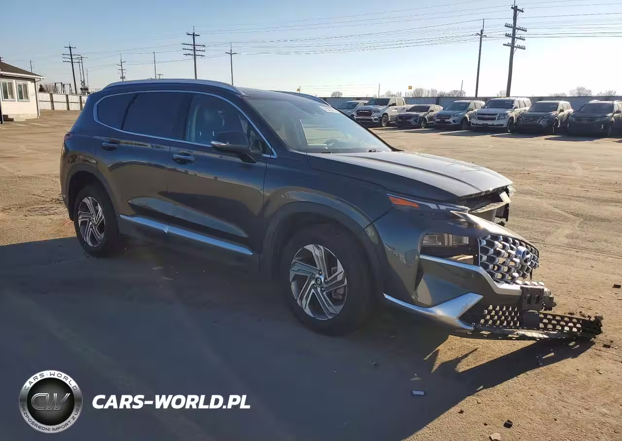 2023 Hyundai Santa Fe Sel Premium VIN:5NMS3DAJ0PH559850 - 4