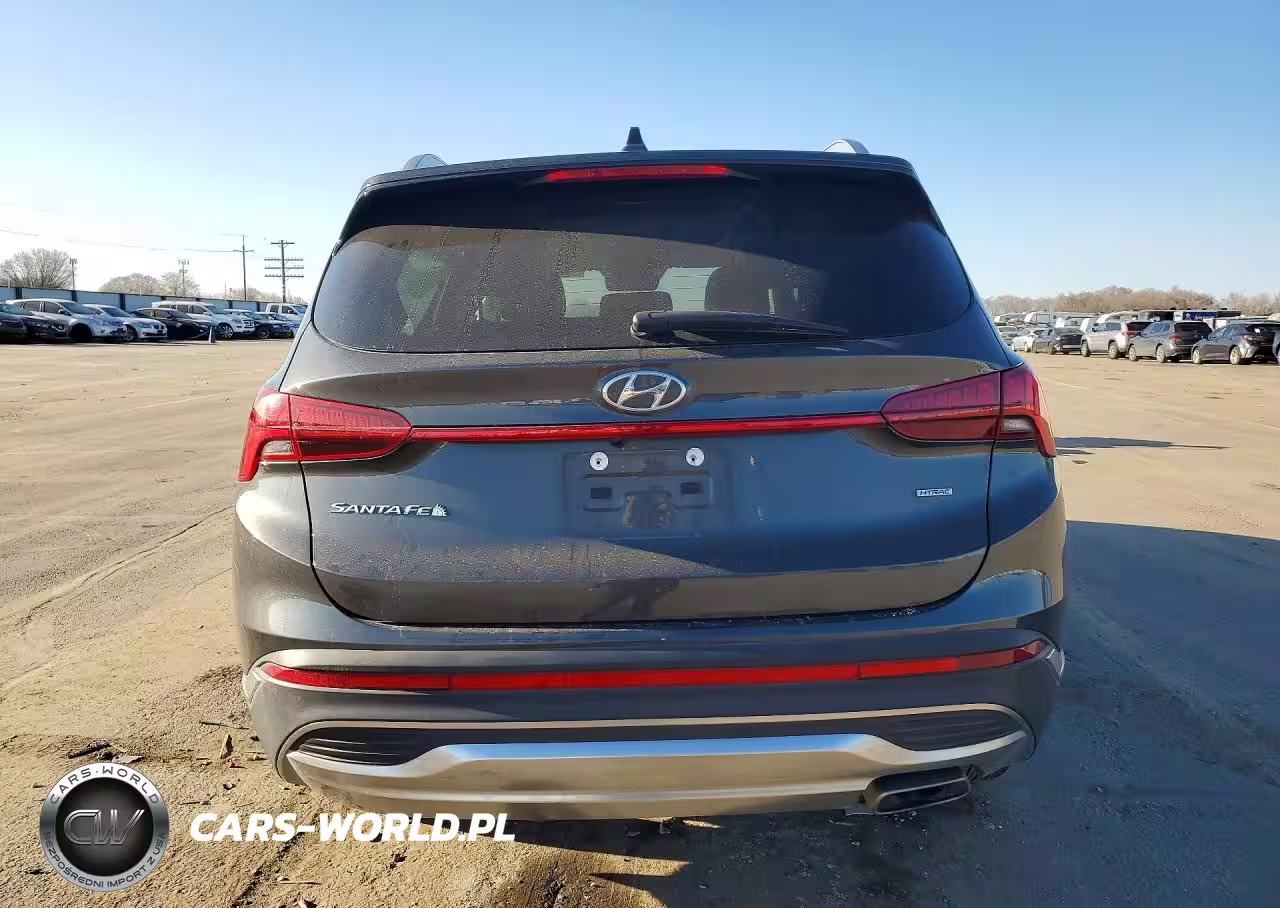 2023 Hyundai Santa Fe Sel Premium VIN:5NMS3DAJ0PH559850 - 6
