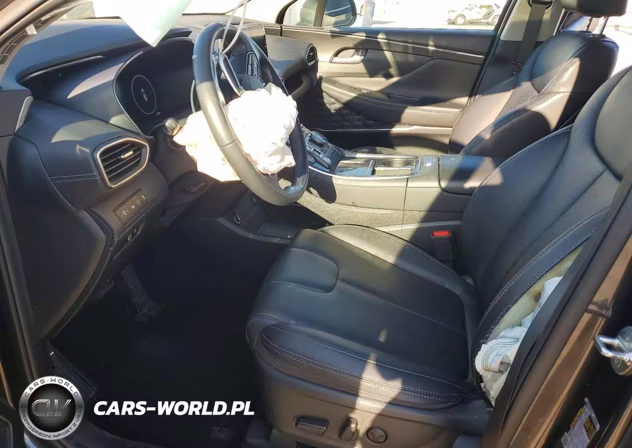 2023 Hyundai Santa Fe Sel Premium VIN:5NMS3DAJ0PH559850 - 7