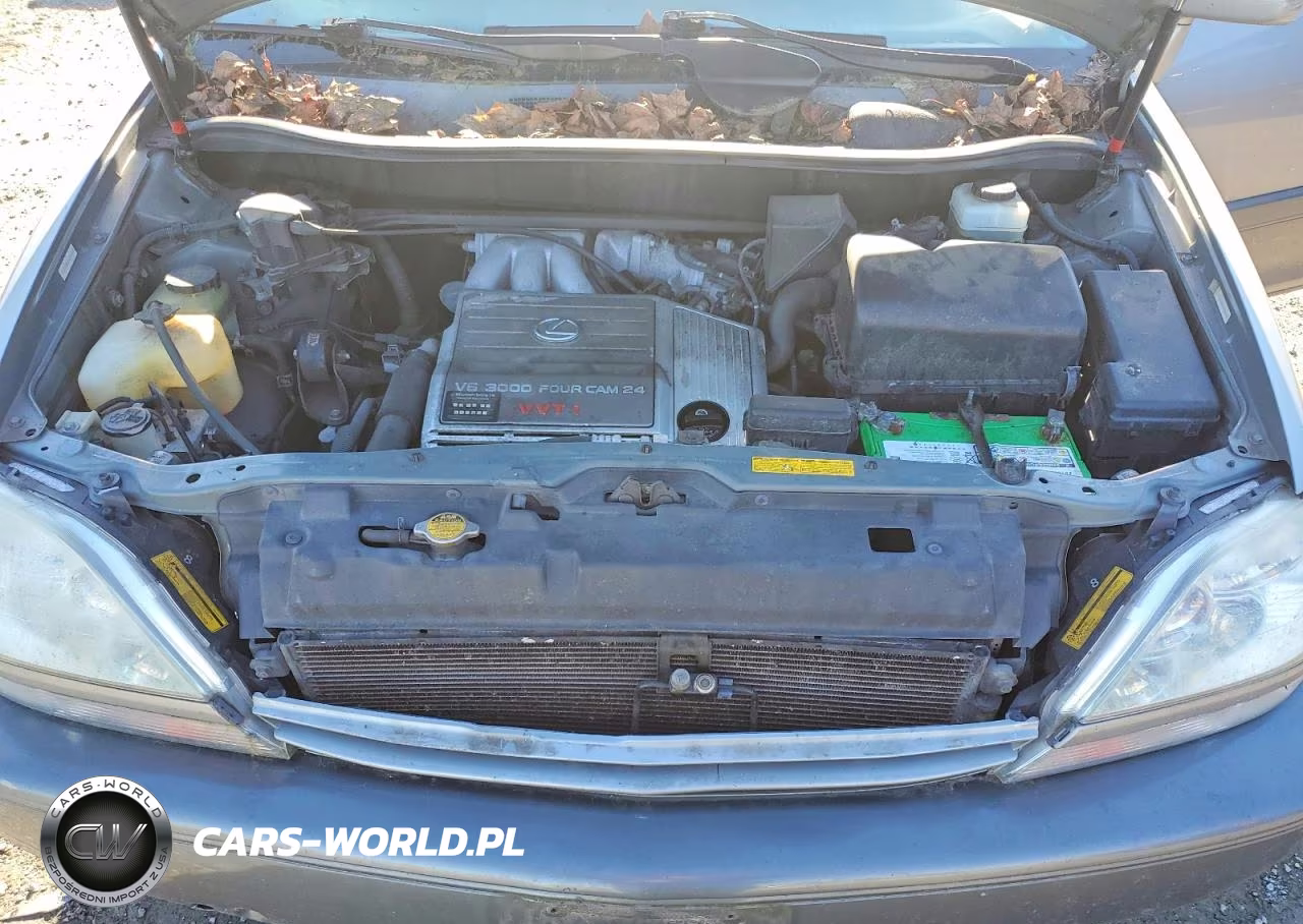 2001 Lexus Rx 300 VIN:JTJHF10U110201673 - 12