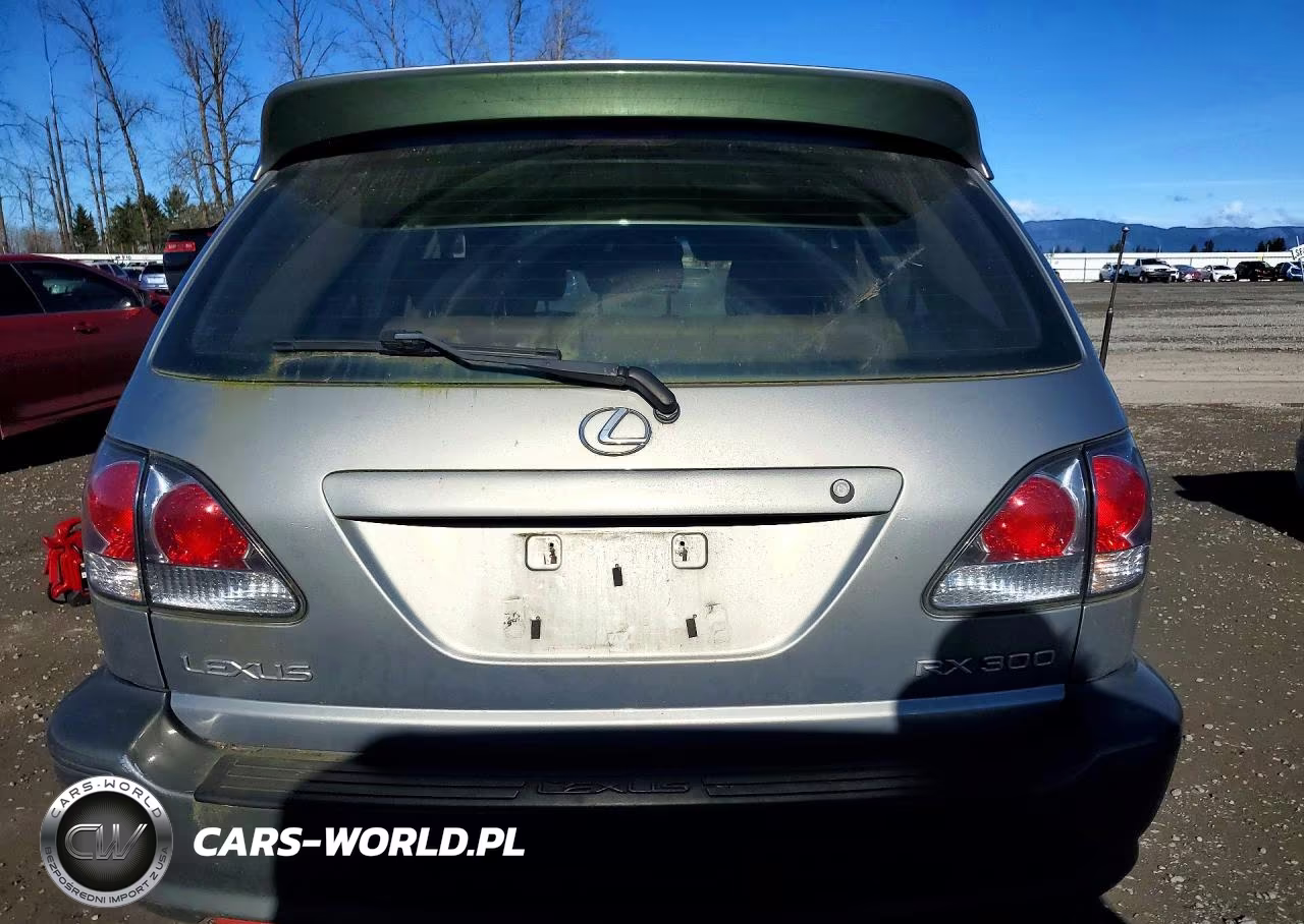 2001 Lexus Rx 300 VIN:JTJHF10U110201673 - 6
