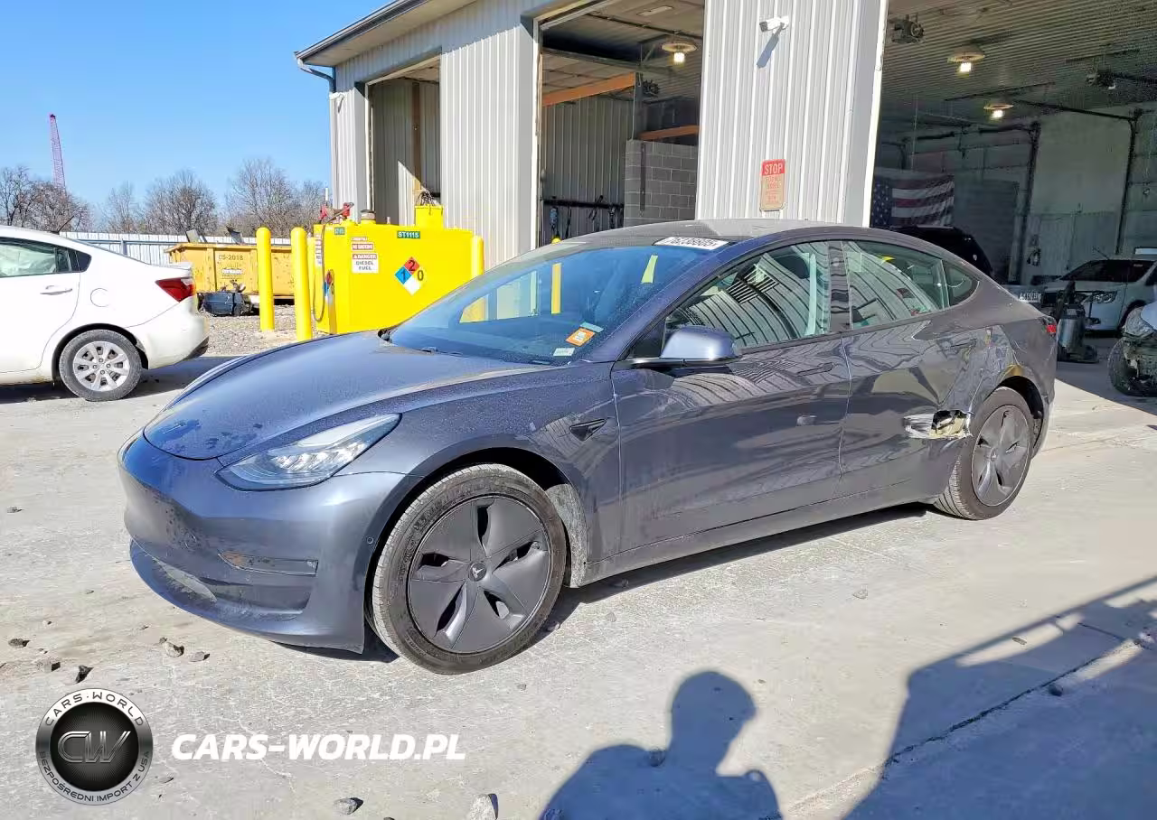 2019 Tesla Model 3