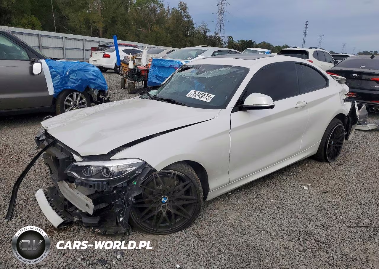 2019 BMW 230I