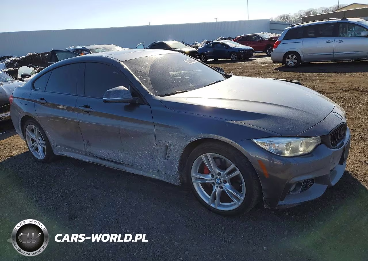 2016 BMW 428 Xi Gran Coupe Sulev VIN:WBA4C9C5XGG136168 - 4