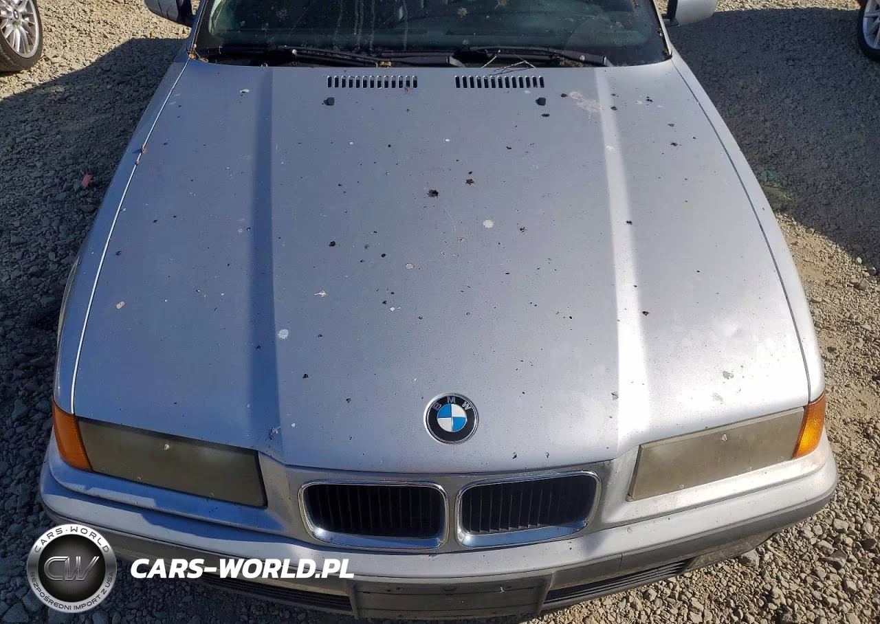 1996 BMW 3 Series VIN:WBABE7324TEY20909 - 11