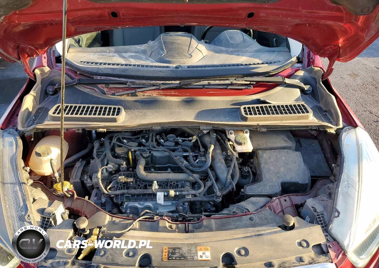 2019 Ford Escape Se VIN:1FMCU0GD0KUB79688 - 12
