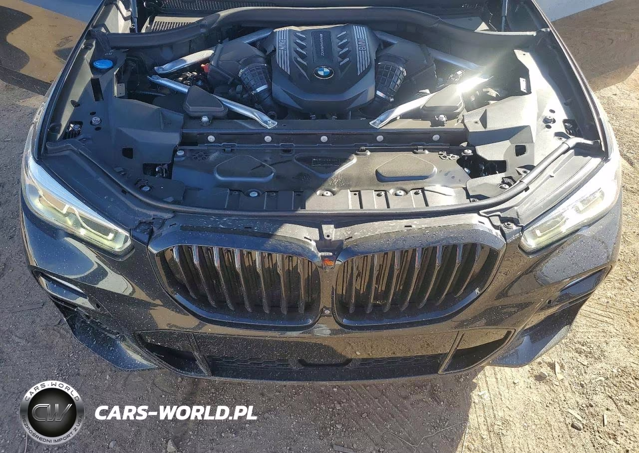 2021 BMW X5 M50I VIN:5UXJU4C03M9E57092 - 11