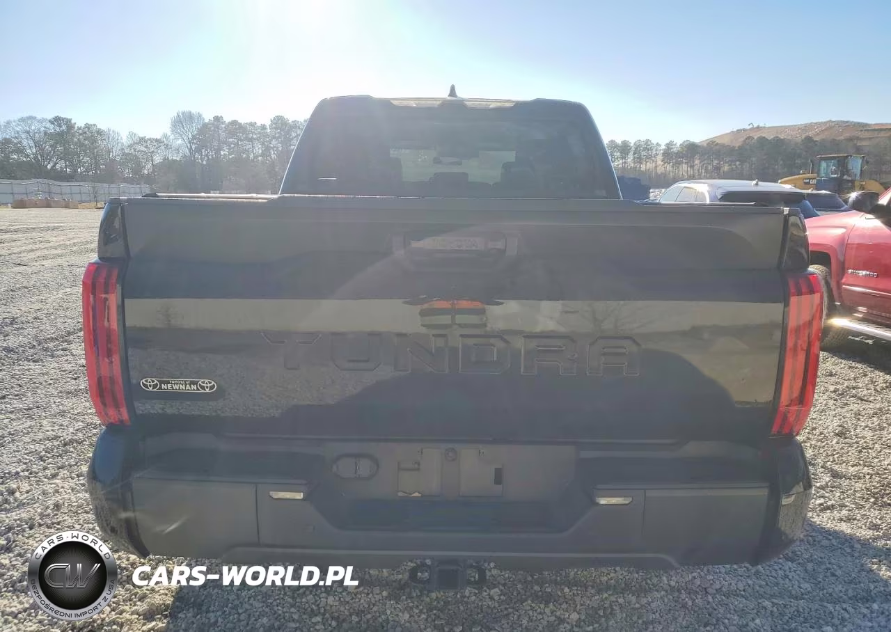 2022 Toyota Tundra Sr5 VIN:5TFLA5AB1NX008730 - 6