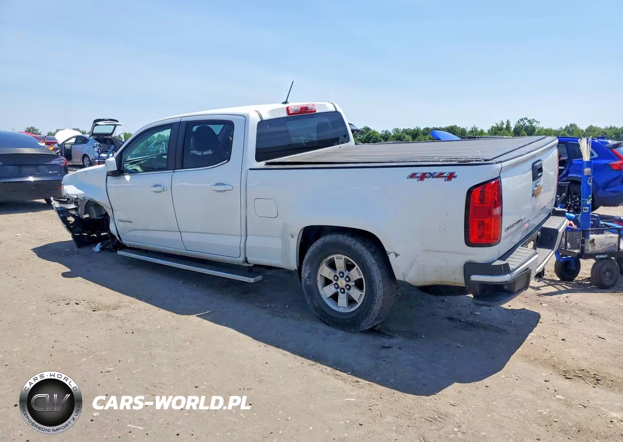 2019 Chevrolet Colorado VIN:1GCGTBEN1K1126189 - 2