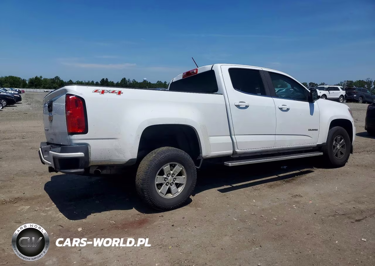2019 Chevrolet Colorado VIN:1GCGTBEN1K1126189 - 3